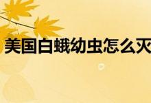 美國(guó)白蛾幼蟲怎么滅（美國(guó)白蛾幼蟲蜇人嗎）