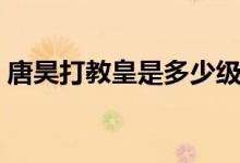唐昊打教皇是多少級（唐昊打教皇是哪一集）