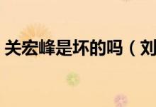 關(guān)宏峰是壞的嗎（劉長永為什么針對關(guān)宏峰）