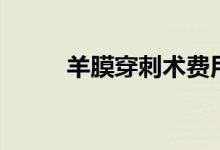 羊膜穿刺術(shù)費(fèi)用（羊膜穿刺疼嗎）