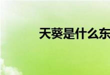 天葵是什么東西（天葵是什么）