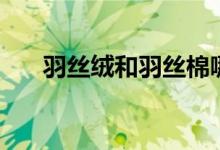 羽絲絨和羽絲棉哪個(gè)好（羽絲絨是啥）