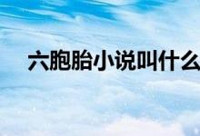 六胞胎小說(shuō)叫什么名（六胞胎小說(shuō)名稱）