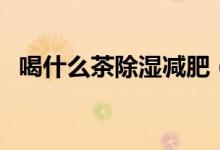 喝什么茶除濕減肥(喝什么茶除濕氣最好)