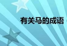 有關(guān)馬的成語（有關(guān)馬四字成語）
