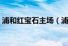 浦和紅寶石主場(chǎng)(浦和紅寶石是哪個(gè)國(guó)家的)
