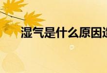 濕氣是什么原因造成的(濕氣是什么)