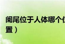 闌尾位于人體哪個位置（闌尾位于人體哪個位置）