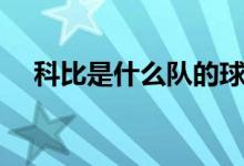 科比是什么隊(duì)的球員（科比是什么意思）
