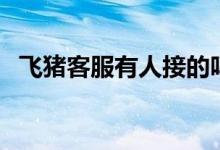 飛豬客服有人接的嗎（飛豬客服有人工嗎）