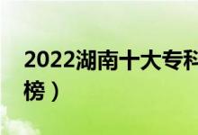 2022湖南十大專科學(xué)校排名（高職院校排行榜）