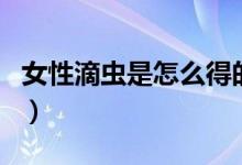女性滴蟲(chóng)是怎么得的（女性滴蟲(chóng)是怎么造成的）