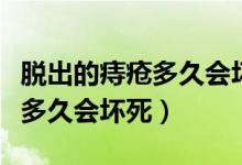 脫出的痔瘡多久會壞死要切除嗎（脫出的痔瘡多久會壞死）
