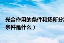 光合作用的條件和場所分別是什么（光合作用的場所是什么條件是什么）