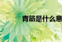 青筋是什么意思（青筋是什么）