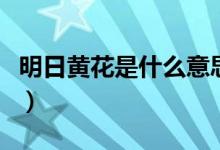 明日黃花是什么意思?。魅拯S花是什么意思）