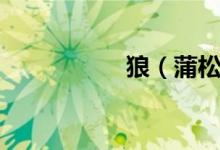狼（蒲松齡原文翻譯）