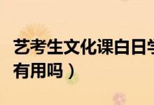 藝考生文化課白日學案（藝考生文化百日學案有用嗎）