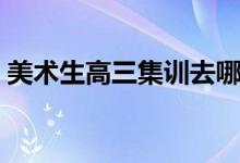 美術(shù)生高三集訓去哪（參加集訓怎么選畫室）