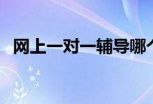 網上一對一輔導哪個平臺靠譜（怎么選擇）