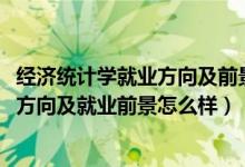 經(jīng)濟(jì)統(tǒng)計(jì)學(xué)就業(yè)方向及前景分析（2022經(jīng)濟(jì)統(tǒng)計(jì)學(xué)專業(yè)就業(yè)方向及就業(yè)前景怎么樣）
