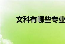 文科有哪些專(zhuān)業(yè)（什么專(zhuān)業(yè)好就業(yè)）
