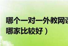 哪個(gè)一對(duì)一外教網(wǎng)課好（英語(yǔ)外教網(wǎng)課一對(duì)一哪家比較好）