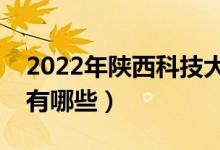 2022年陜西科技大學(xué)評價怎么樣（王牌專業(yè)有哪些）