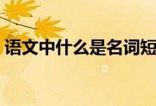 語(yǔ)文中什么是名詞短語(yǔ)（語(yǔ)文中什么是名詞）