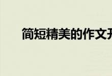 簡(jiǎn)短精美的作文開(kāi)頭（有哪些好開(kāi)頭）