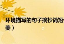 環(huán)境描寫的句子摘抄簡(jiǎn)短優(yōu)美（環(huán)境描寫的句子摘抄簡(jiǎn)短優(yōu)美）