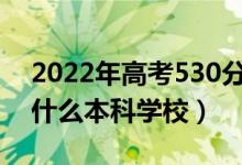2022年高考530分左右能上哪些大學（能上什么本科學校）