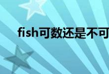 fish可數(shù)還是不可數(shù)（fish的復數(shù)形式）