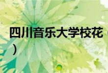 四川音樂大學(xué)?；ǎㄋ拇ㄒ魳穼W(xué)院校花柳侑綺）