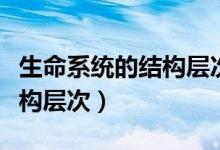 生命系統(tǒng)的結(jié)構(gòu)層次思維導(dǎo)圖（生命系統(tǒng)的結(jié)構(gòu)層次）