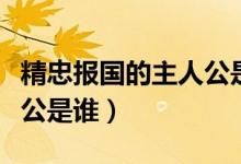 精忠報(bào)國(guó)的主人公是誰視頻（精忠報(bào)國(guó)的主人公是誰）
