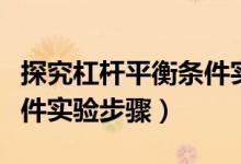 探究杠桿平衡條件實(shí)驗教案（探究杠桿平衡條件實(shí)驗步驟）