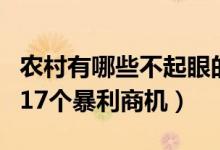 農(nóng)村有哪些不起眼的商機（藏在農(nóng)村不起眼的17個暴利商機）