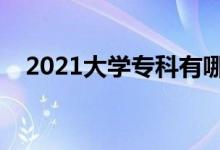 2021大學(xué)?？朴心男W(xué)校（哪些學(xué)校好）
