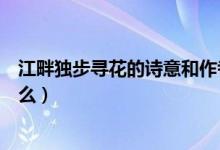 江畔獨步尋花的詩意和作者感情（江畔獨步尋花的詩意是什么）