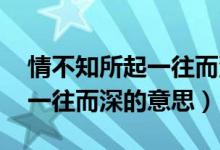 情不知所起一往而深的電視?。ㄇ椴恢?一往而深的意思）