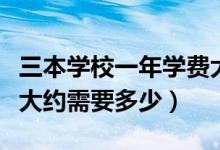 三本學(xué)校一年學(xué)費大約多少錢（三本學(xué)費一年大約需要多少）