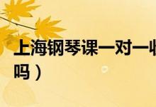 上海鋼琴課一對一收費標準(學(xué)鋼琴的費用高嗎)