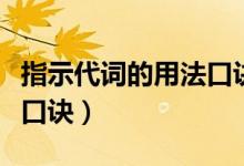 指示代詞的用法口訣及例句(指示代詞的用法口訣)