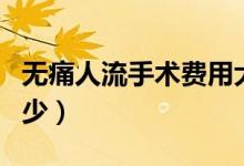 無痛人流手術(shù)費用大概（無痛人流手術(shù)費是多少）