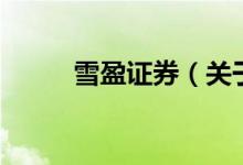 雪盈證券（關(guān)于雪盈證券的介紹）