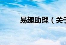易趣助理（關(guān)于易趣助理的介紹）