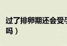 過了排卵期還會受孕嗎(過了排卵期還會懷孕嗎)