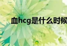 血hcg是什么時(shí)候檢查（血hcg是什么）