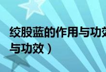 絞股藍(lán)的作用與功效與禁忌癥（絞股藍(lán)的作用與功效）